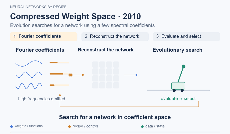 Compressed Weight Space · 2010: Searching for a network in coefficient space